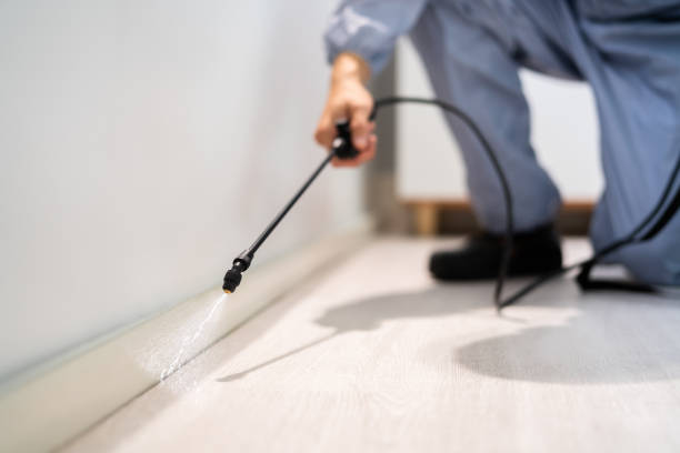 Licensed Pest Control service in Wapello, IA - Show Me Pest Control