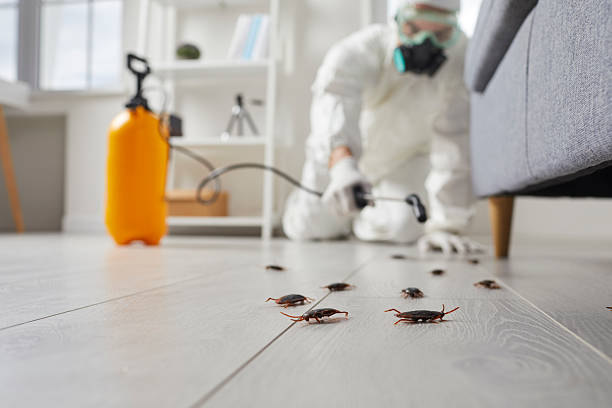 Commercial Kitchen Cockroach Control in Wapello